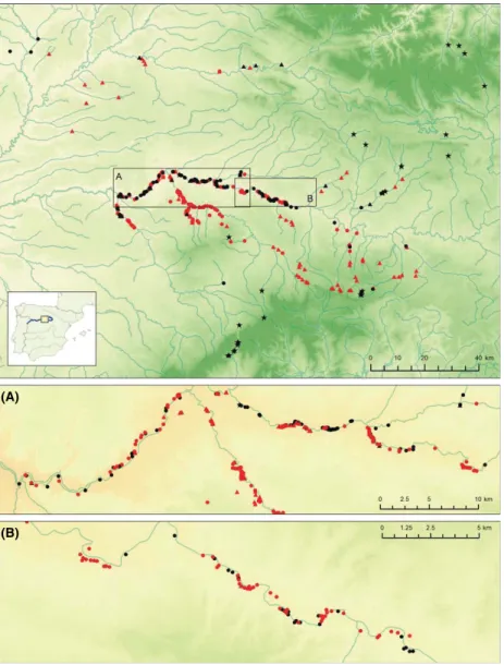Fig. 1 Location of individuals sampled within the Douro poplar hybrid zone including the main river course, its major tributaries and nearby mountains