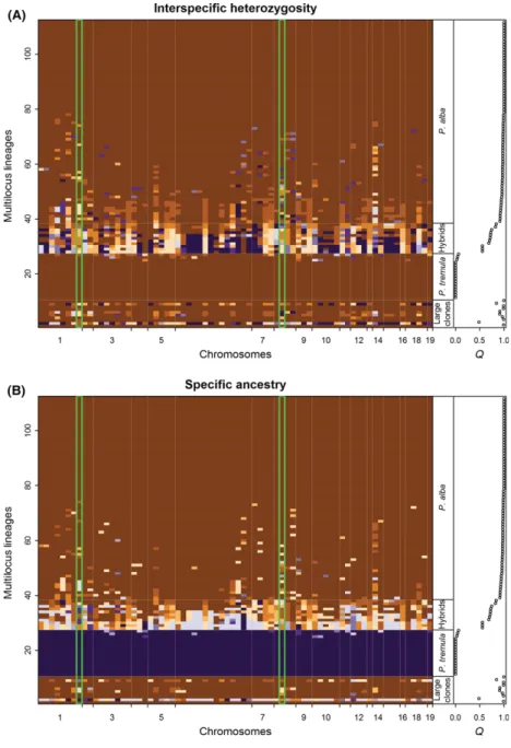 Fig. 2 Genomic background of genets (112 multilocus lineages, MLLs) sampled in the Douro poplar hybrid zone