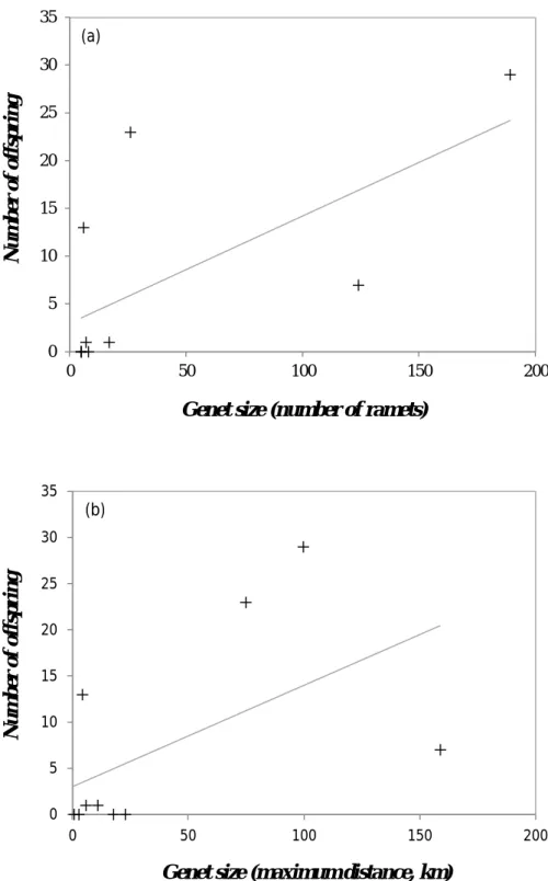 Figure S4 Correlation between genet size and number of offspring, either estimated as  number of ramets (a) or as maximum distance between two ramets (b)