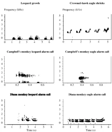 Fig. 2 Spectrograms of the playback stimuli used in this study (256-point Fourier transformation, Hanning window function, 684 Hz analysis resolution, 10.77 Hz spectral resolution, 4096 points window length, 0.72 ms temporal resolution)