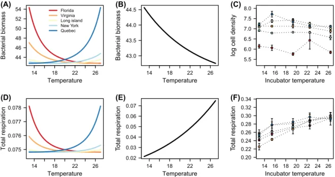 Figure 2. Comparison of the theoretical (Supplementary material Appendix 1) and empirical results for bacteria density (A, C) and total  respiration (D, F)