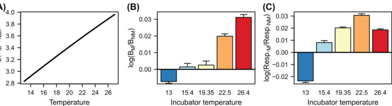 Figure 3. Impact of trophic control along the temperature gradient. Model prediction (A)