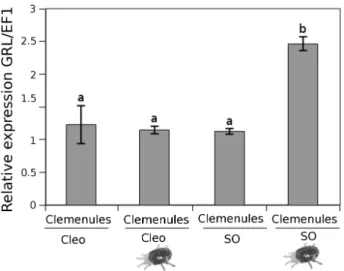 Fig. 9.  Hormonal content of grafted plants affected by the spider mites. Clemenules variety grafted onto sour orange (SO) and Clemenules variety  grafted onto Cleopatra mandarin (Cleo) plants were either uninfested or infested (mite cartoon)