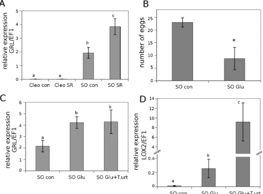 Fig. 4.  Relevance of Glu and glutamate receptor-like genes (GRL) in SR against T. urticae in citrus rootstocks