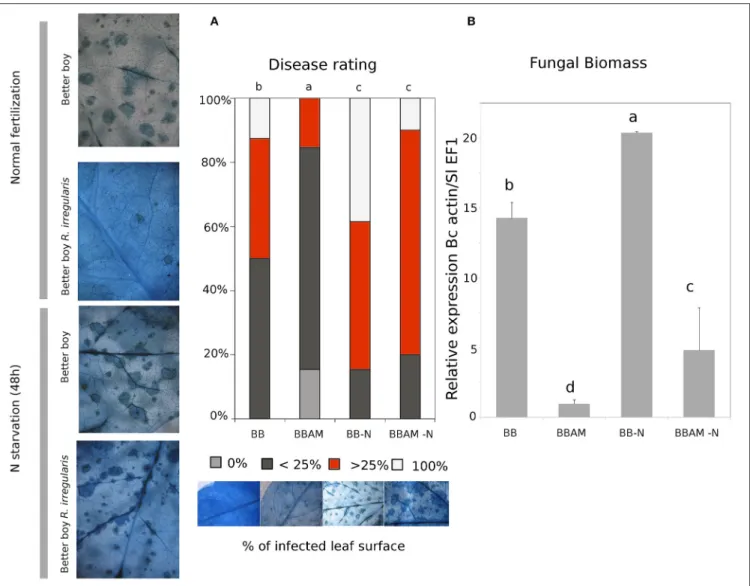 FIGURE 1 | Mycorrhiza-induced resistance and suppressive effect of a transient N depletion on MIR