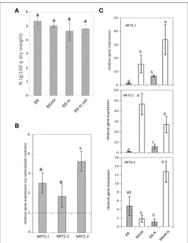 FIGURE 2 | Effect of N starvation on total N shoot levels and nitrate transporter gene expression