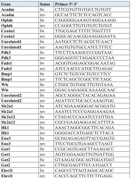 Table S5. Primers used for ChIP-qPCR analysis 