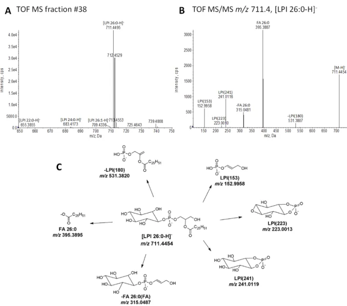 Figure S2. Structural characterization of LPI 26:0. (A) FTMS spectrum of fraction #38