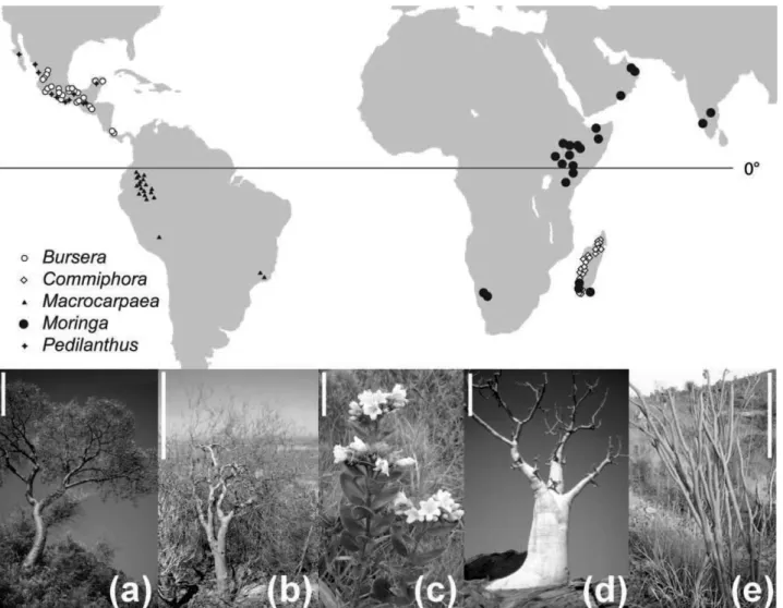 Fig. 1 Morphological, environmental, and geographical diversity in sampling. Geographic and environmental sampling covers desert, tropical rain forest, cloud forest, tropical dry forest, and other habitats across North America, South America, Africa, Asia,