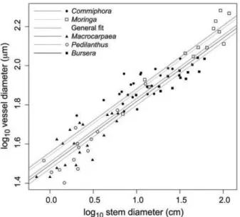 Fig. 2 Scaling of vessel diameter with stem diameter across the means of the 83 species of the ﬁve clades studied
