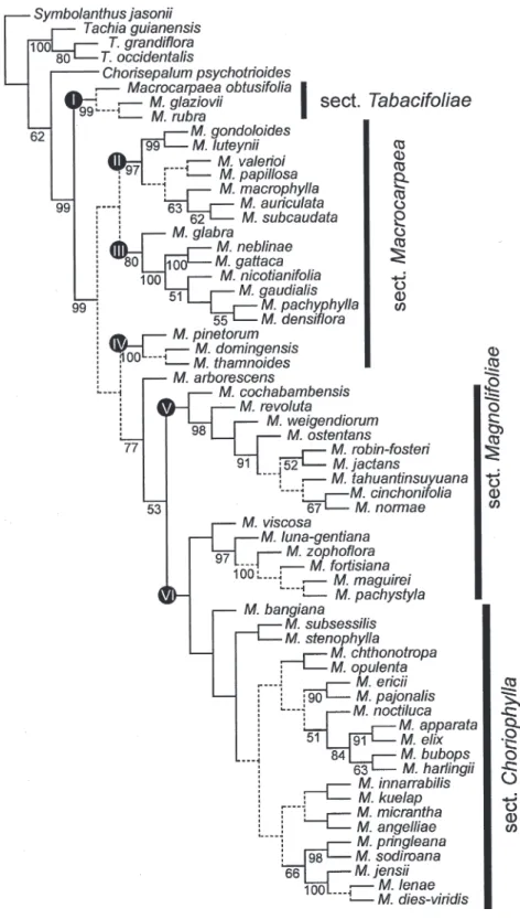 Figure 2. One of 160 most parsimonious trees from the phylogenetic analysis based on combined molecular (ITS and 5S- 5S-NTS) and morphological data