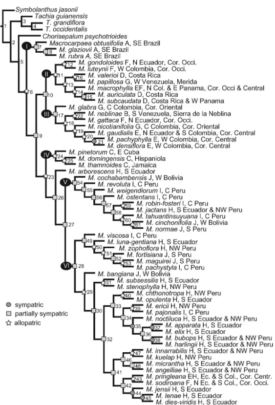 Figure 3. The selected most parsimonious tree used in DIVA and SEEVA analyses, with numbered nodes and geographic distribution listed for each species