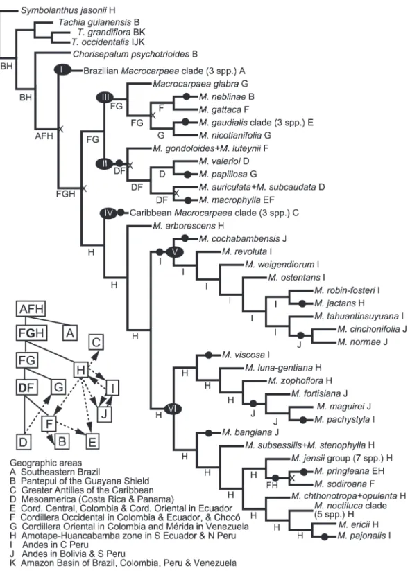Figure 4. Results of the DIVA analysis when mapped onto the selected most parsimonious phylogenetic tree