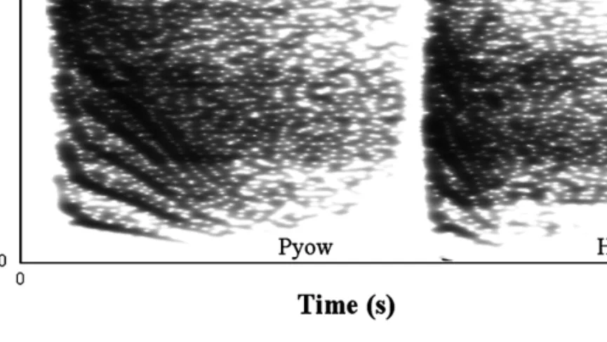Figure 1. Spectrographic representation of a male putty-nosed monkey’s pyow and hack call.