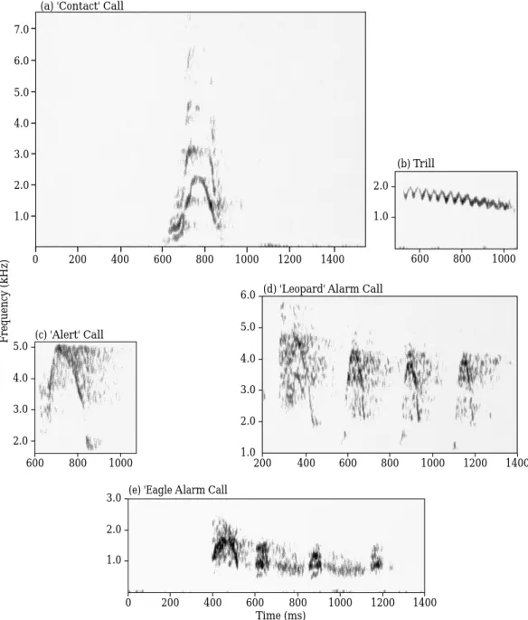 Figure 1. The five most frequent call types of female and juvenile diana monkeys. Sonagrams were made with Canary 1.2