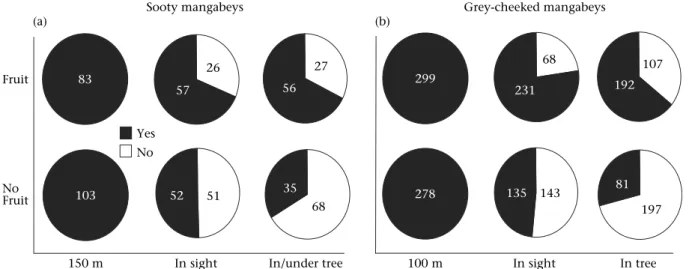 Figure 2. Ranging behaviour of (a) sooty mangabeys towards target trees of Anthonota fragans and (b) grey-cheeked mangabeys towards tar- tar-get trees of Ficus sansibarica with and without fruits