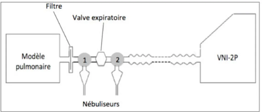 Figure 4 : Schéma montrant la position du nébuliseur sur le circuit. Position 1 : entre  la  valve  de  fuite  et  le  modèle  pulmonaire
