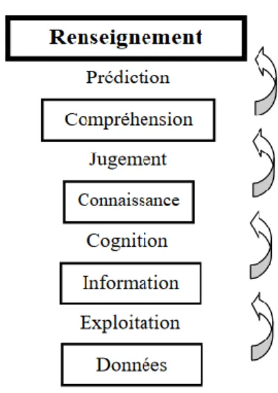 Figure 2 : Hiérarchie cognitive  
