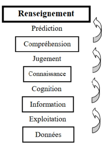 Figure 2 : Hiérarchie cognitive  