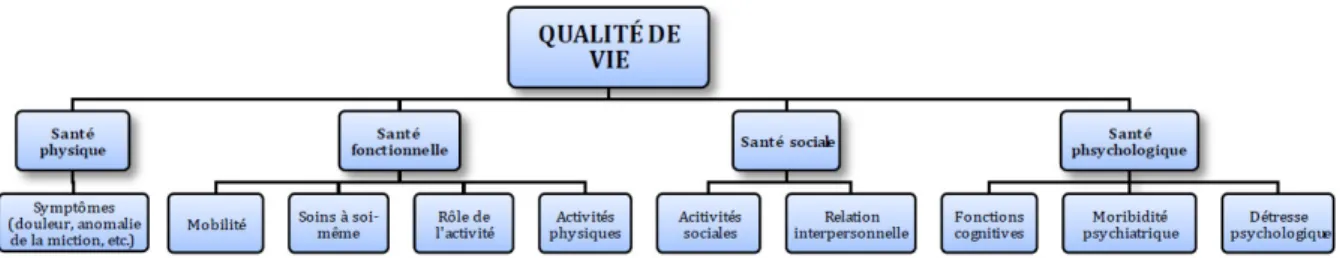 Figure 1 : Domaines influençant la qualité de vie 