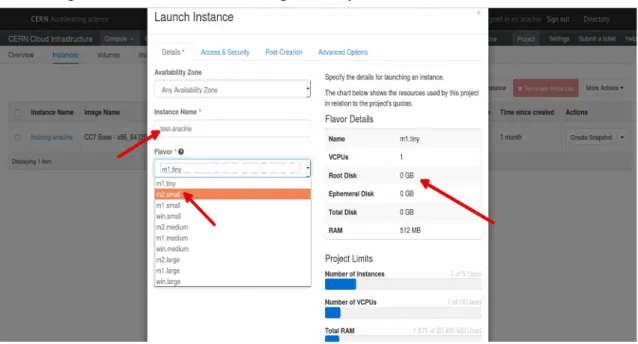 Figure 10: VM creation through the Openstack web-based interface