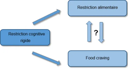 Figure 2. La restriction cognitive en tant que facteur de confusion 