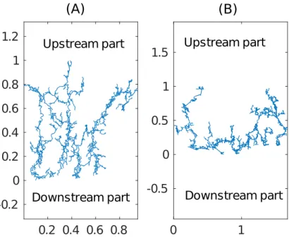 Figure 3.1: Cave divers’s maps of (A) the Ox Bel Ha system and (B) Sac Actun.