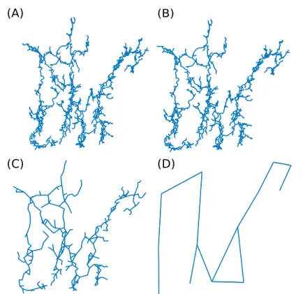 Figure 3.6: Renormalization scheme applied to Ox Bel Ha for l B = 2. (A) original network, (B), (C), (D) renormalized  net-work after 2,4 and 7 iterations.