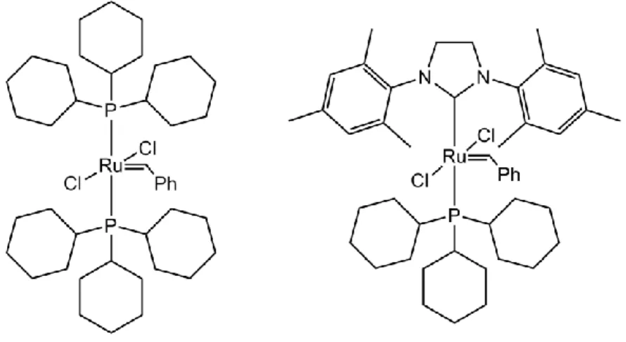 Figure 2: Grubbs Catalysts, 1 st  (left) and 2 nd  (right) generation 