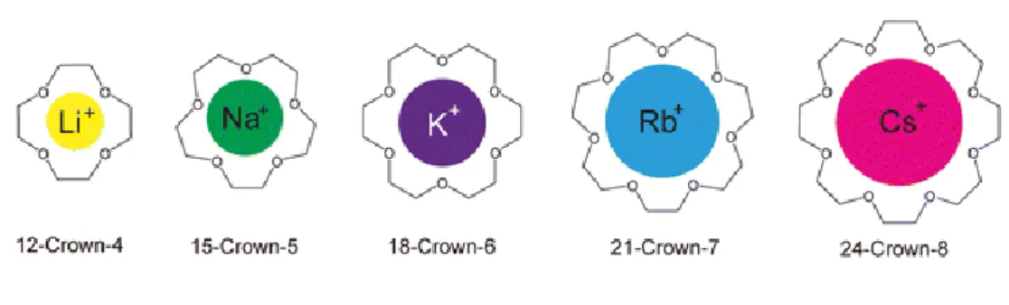 Figure 4: Schematic representation of the encapsulation of metallic cations inside crown ethers 