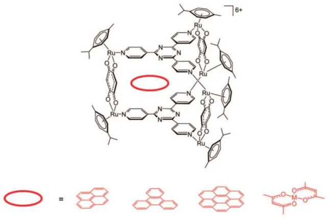 Figure 7: Typical hexanuclear ruthenium metalla-cage synthesized in our group, using 4-tpt (2,4,6-tris(4- (2,4,6-tris(4-pyridyl)triazine) as panel, and examples of guest molecules 