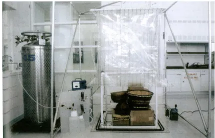Figure 26: Objects placed in a tent for treatment against museum pests  using nitrogen