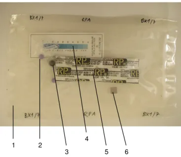 Figure  56:  Test  setup  for  samples  packed  with  an  RP-A  oxygen absorber. The bag is closed with four heat seals (test  group BX1).