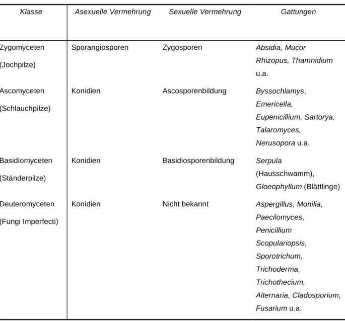 Tab. 3. Einteilung der Pilze nach Klassen, Vermehrungstypen und häufigen Gattungen 