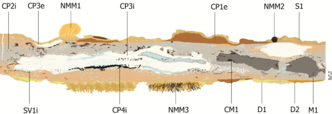 Figure 41 : Stratigraphie représentant la plaque en coupe transversale et les strates principales 