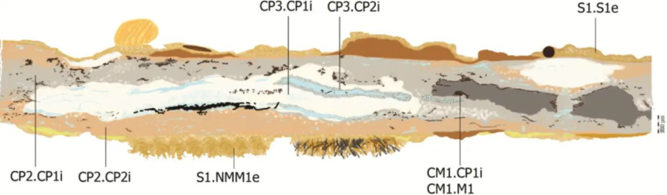 Figure 51 : Stratigraphie représentant la plaque en coupe transversale et les strates mineures 
