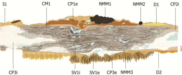 Figure 82 : Stratigraphie représentant la plaque en coupe transversale et les strates principales dans  le cas de CM1 (B)