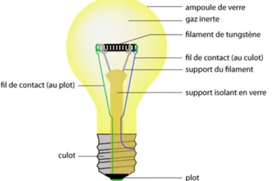 FIGURE 6 Composition d’une lampe à incandescence classique avec, en évidence, le chemin du courant électrique  à l’intérieur de celle-ci (ligne verte, filament, puis fil bleu)