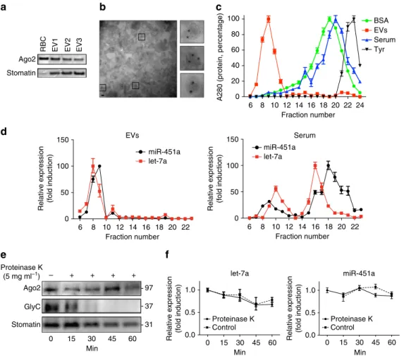 Figure 3 | Ago2 and miRNA are present within puriﬁed EVs. (a) Expression of Ago2 and stomatin in multiple EV preparations was probed by western blot