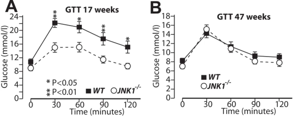 Figure S1. Glucose tolerance in WT and JNK1-/- mice on chronic high-fat diet.
