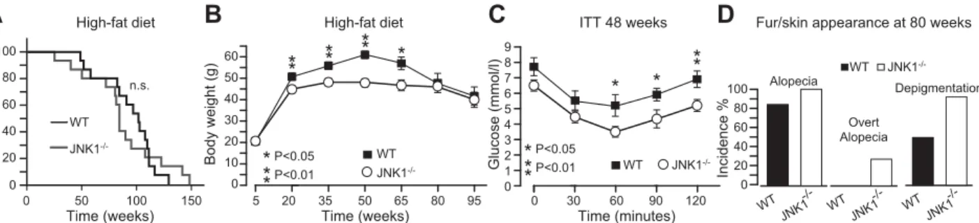Fig. S1). However, comparison of GTTs performed at dif- dif-ferent time points indicated that the absence of difference between groups at 47 wk of age was due to an  improve-ment of glucose tolerance in control mice (Suppleimprove-mental Fig