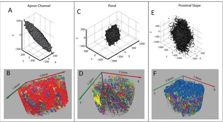Figure 6. For each facies: 3-D porosity REV visualized by the surface of the semivariogram ranges and distribution of connected pore space