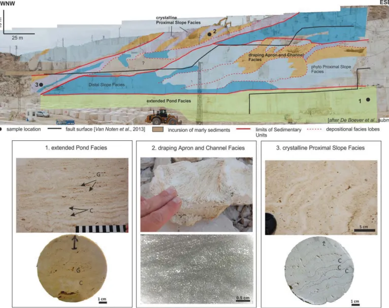 Figure 2. Overview of the depositional facies and sampling locations in the central-western part of the Cakmak quarry exposure (modiﬁed after [De Boever et al., subm.])