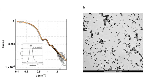 Figure S6. SAXS spectrum (a) and TEM micrograph (b) of the PEG-CH 3  Au NPs in aqueous phosphate buffer