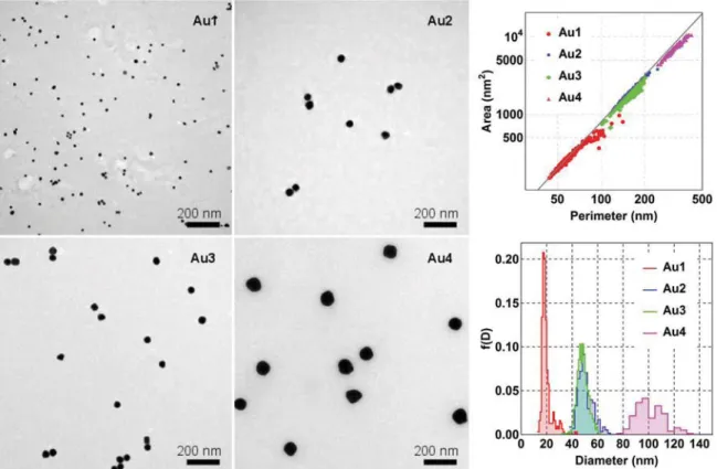 Fig. 1 Transmission electron microscopy (TEM) micrographs of the Au NPs and the results of the image analysis
