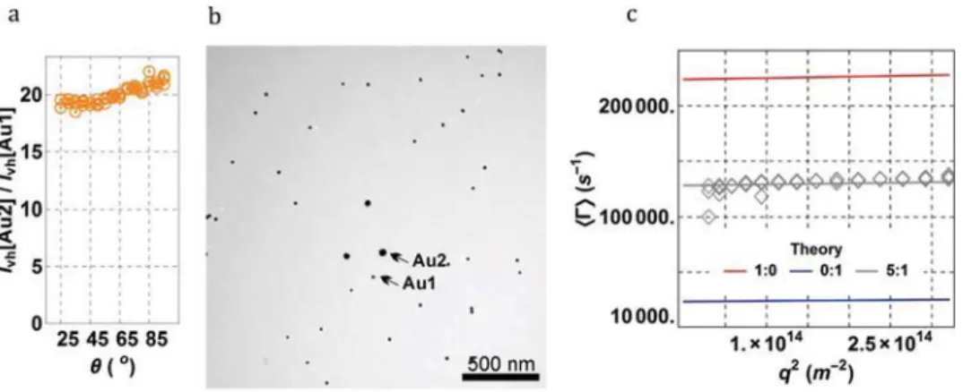 Fig. 4 The DDLS (a) and DLS (b) ﬁ eld auto-correlation functions ( θ = 15°) corresponding to the PEG-coated gold citrate NPs