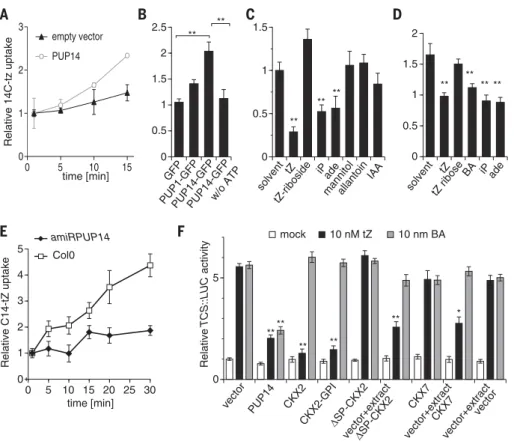 Fig. 3. PUP14 cellular function. (A to E) PUP14 transport assays, with relative 14 C-tZ uptake rates on y axis