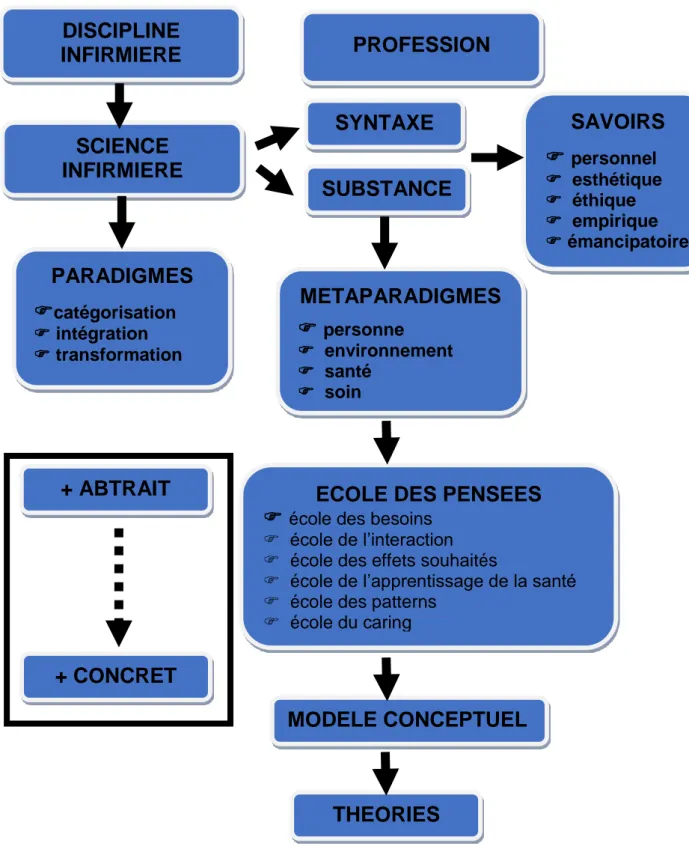 Figure 1 : Données d’ensemble de la pensée infirmière 