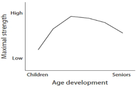Abbildung  3:  Entwicklung  der  Maximalkraft  während der Lebensspanne (Granacher, 2011b,  S