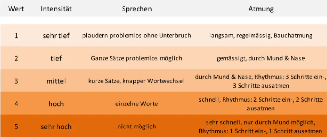 Abbildung 7--Die Trainingsintensitäten in 5 Stufen. 